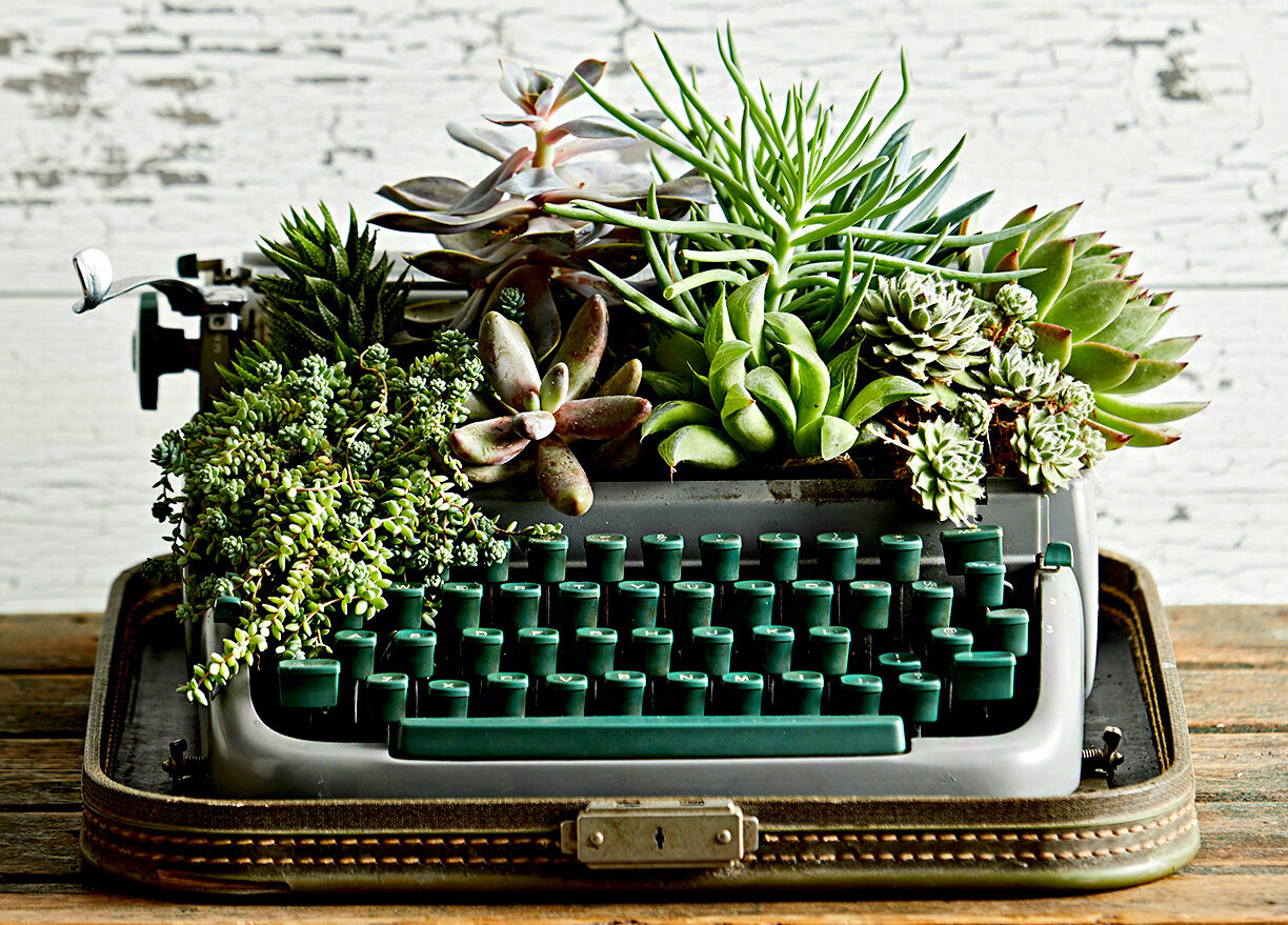 Vintage Keyboard Plant Holder - Succulent Planter